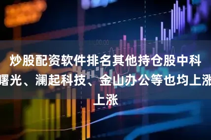 炒股配资软件排名其他持仓股中科曙光、澜起科技、金山办公等也均上涨