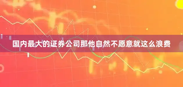 国内最大的证券公司那他自然不愿意就这么浪费