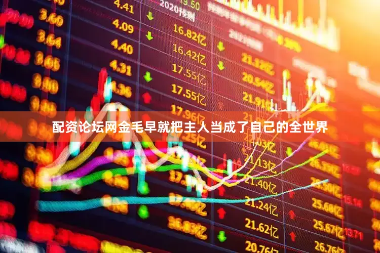 配资论坛网金毛早就把主人当成了自己的全世界