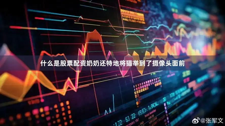 什么是股票配资奶奶还特地将猫举到了摄像头面前
